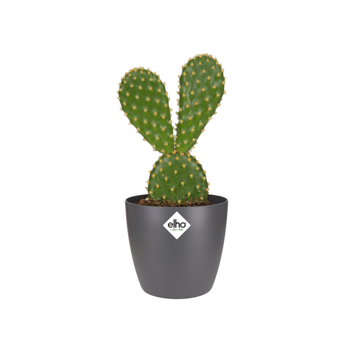 brussels round mini 7cm anthracite